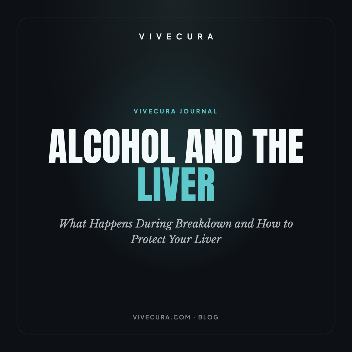 Alcohol and the Liver: What Happens During Breakdown and How to Protect Your Liver