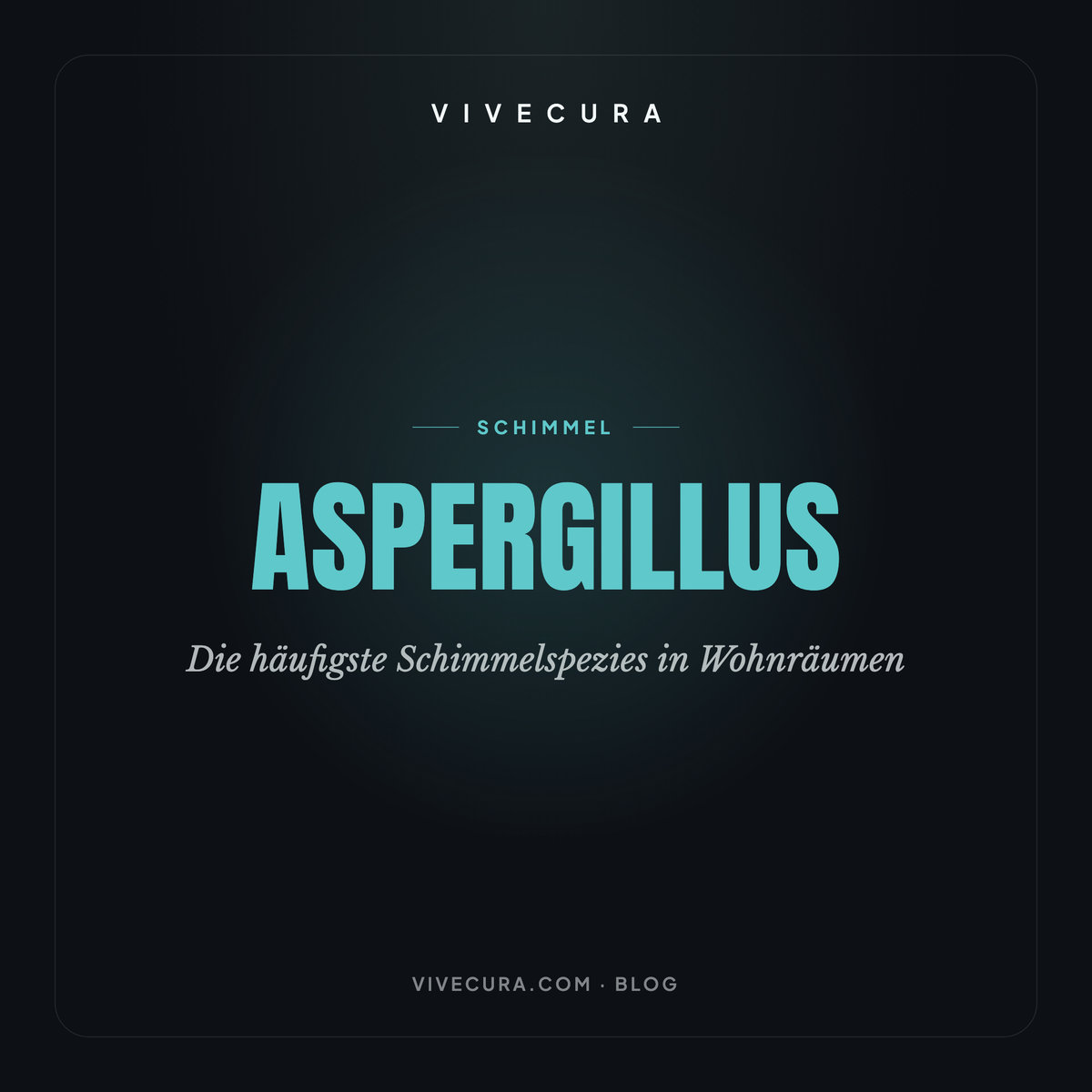 Aspergillus: Die häufigste Schimmelspezies in Wohnräumen
