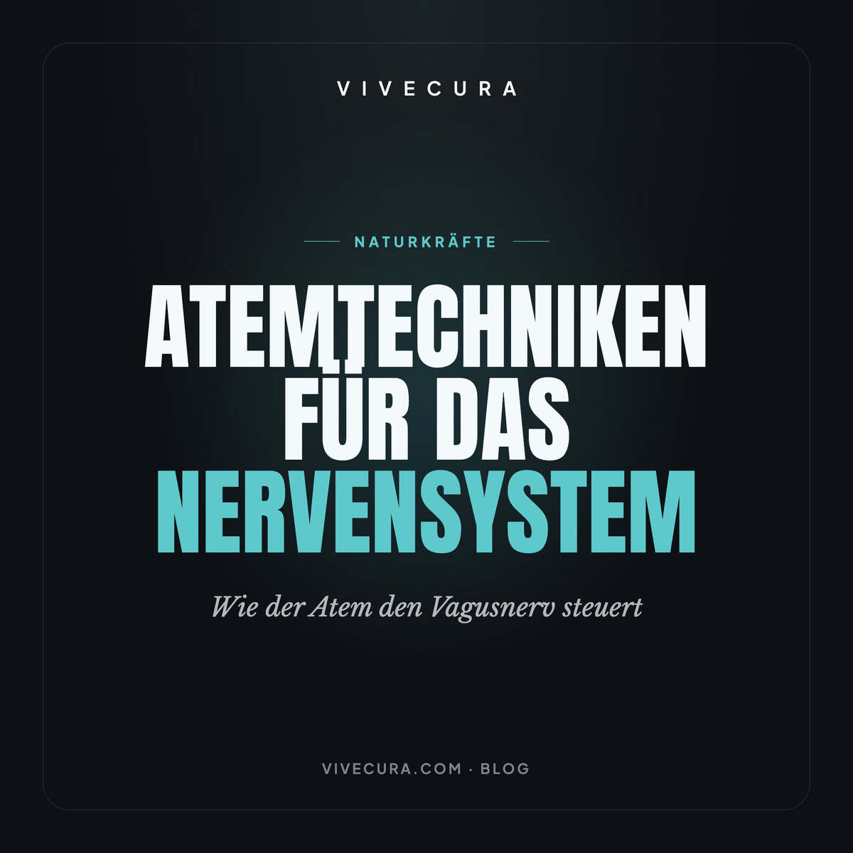 Atemtechniken für das Nervensystem: Wie der Atem den Vagusnerv steuert