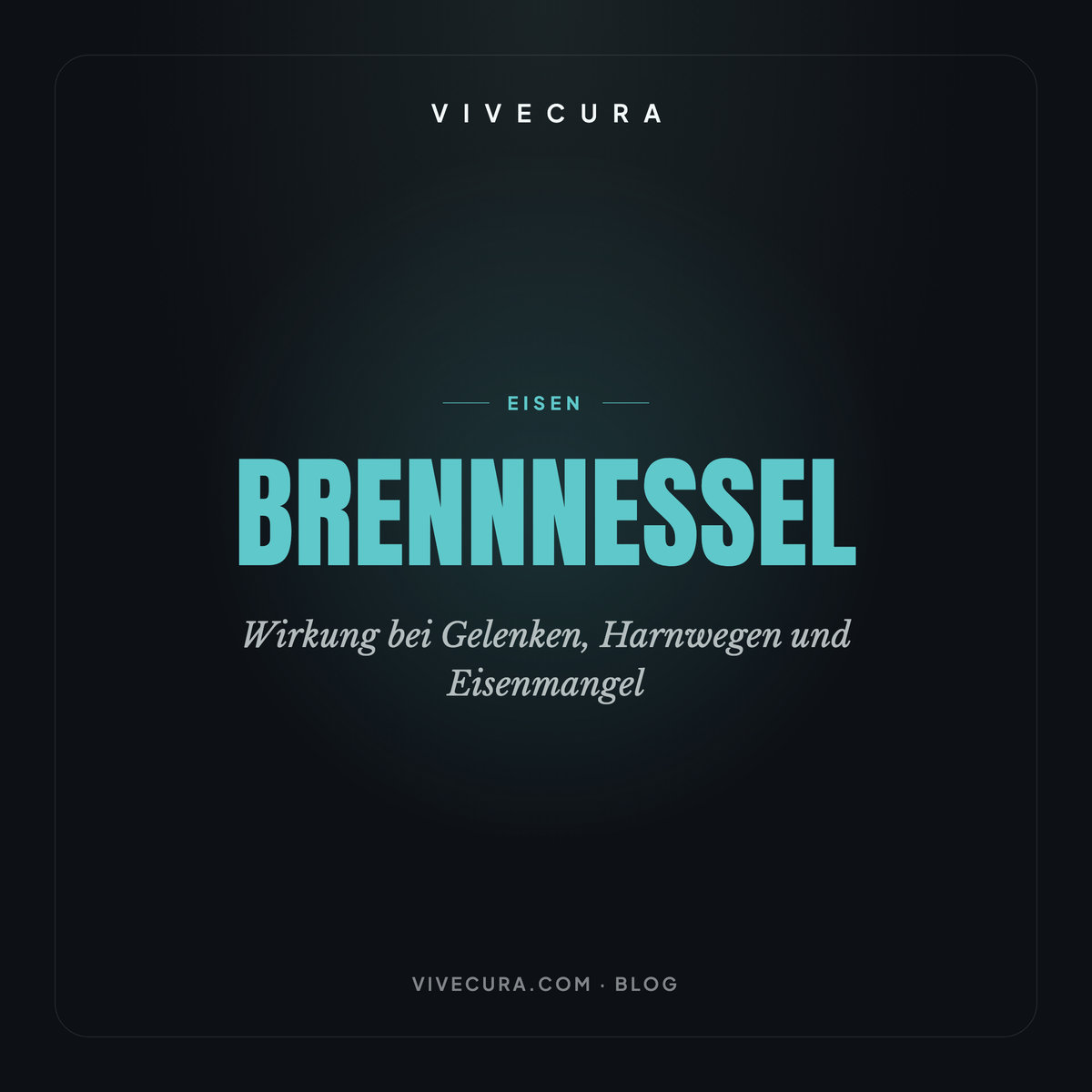 Brennnessel: Wirkung bei Gelenken, Harnwegen und Eisenmangel
