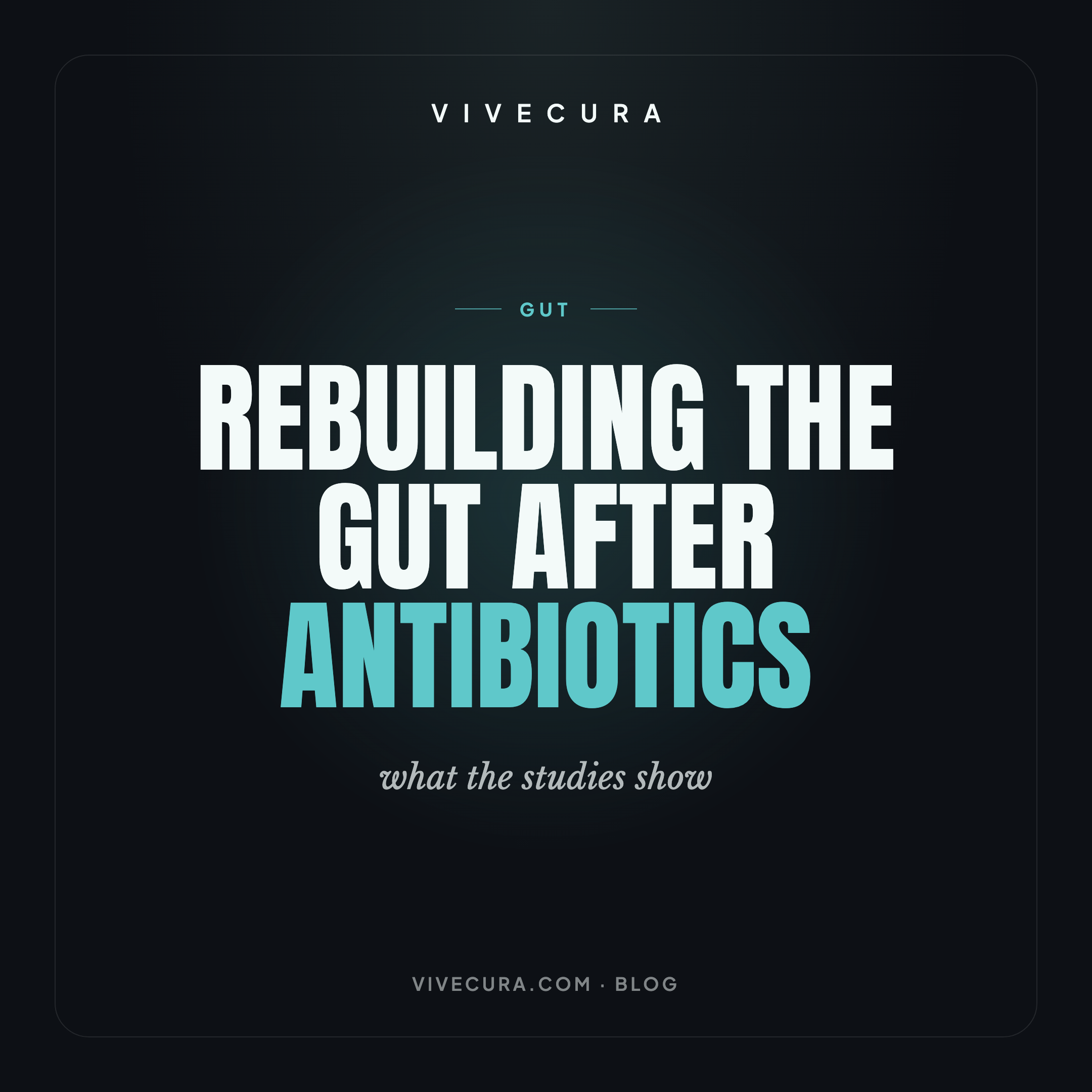 Rebuilding the gut after antibiotics: what the studies show