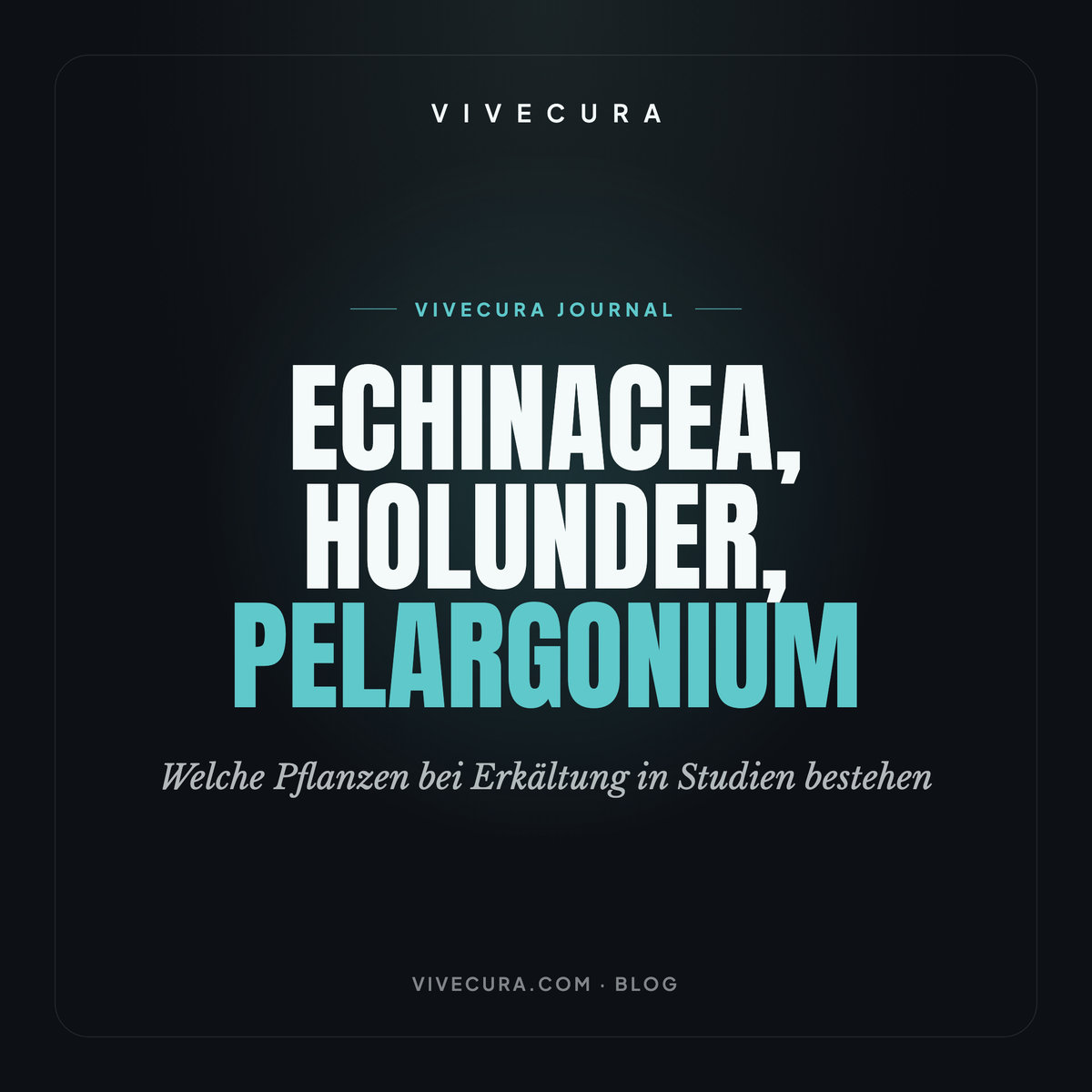 Echinacea, Holunder, Pelargonium: Welche Pflanzen bei Erkältung in Studien bestehen