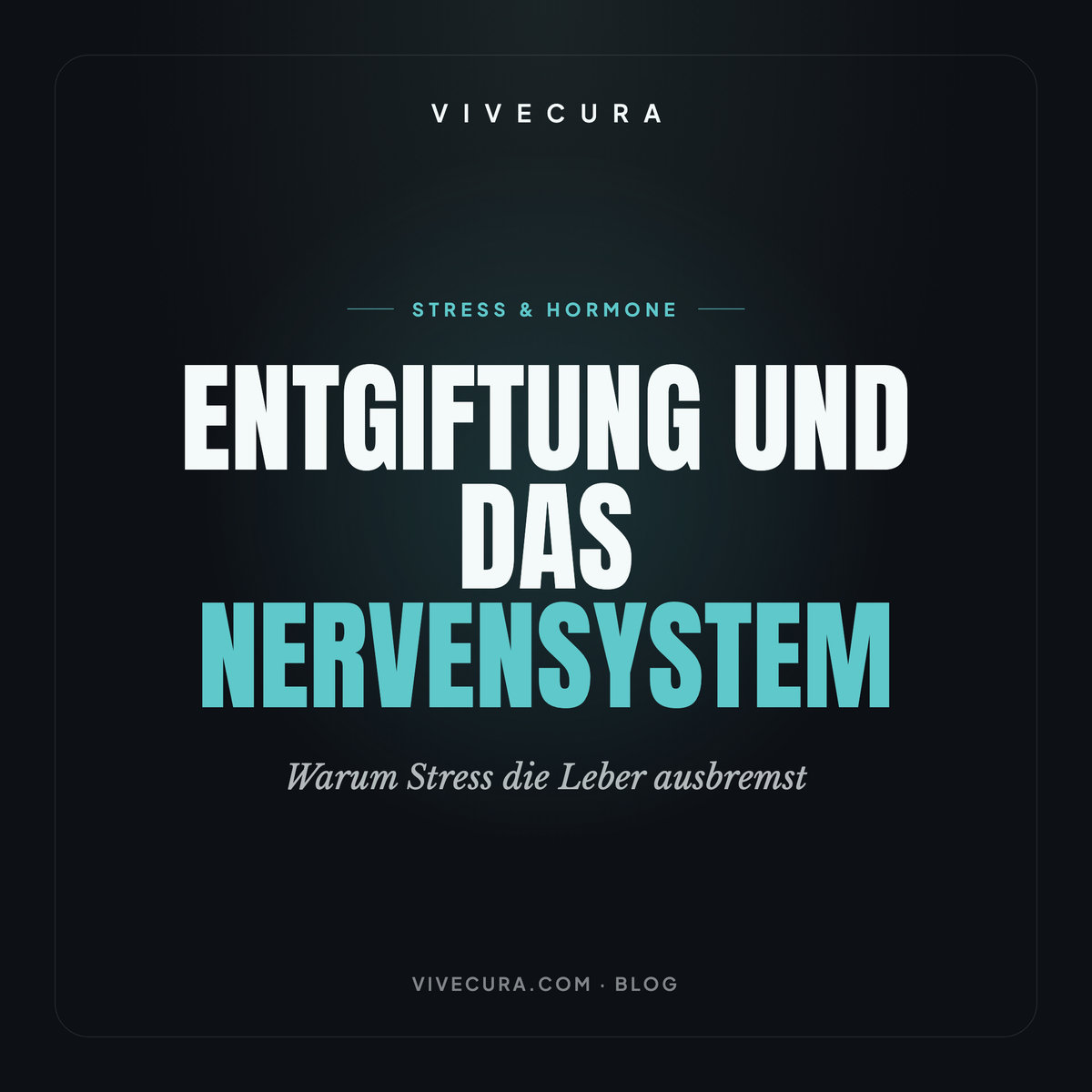 Entgiftung und das Nervensystem: Warum Stress die Leber ausbremst