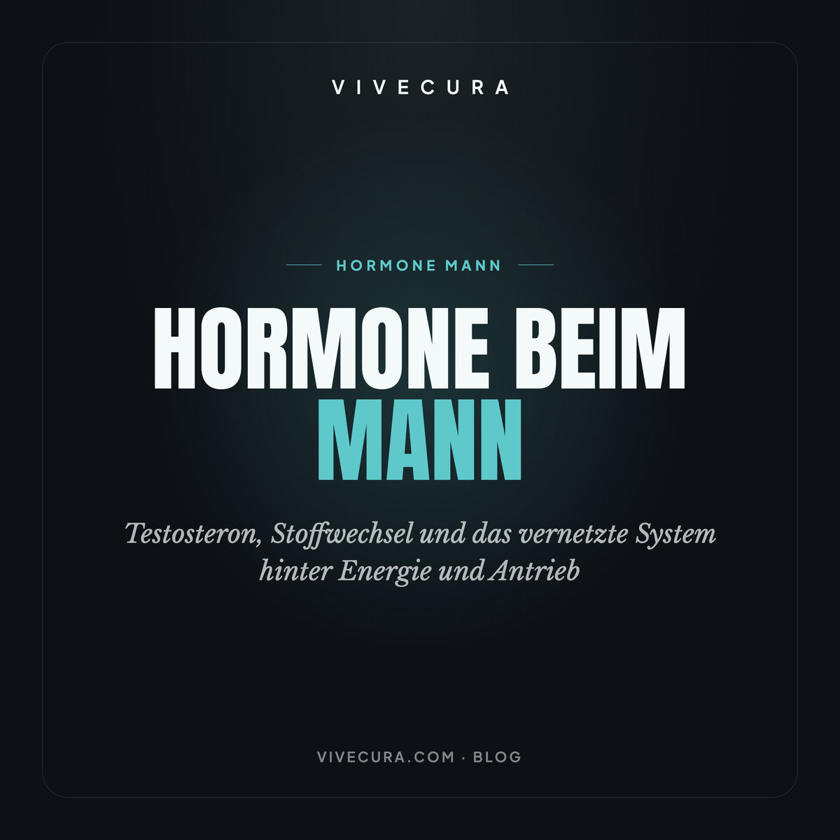Hormone beim Mann: Testosteron, Stoffwechsel und das vernetzte System hinter Energie und Antrieb