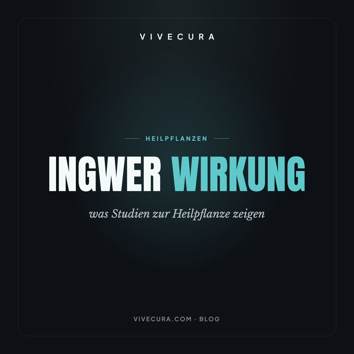 Ingwer Wirkung: was Studien zur Heilpflanze zeigen