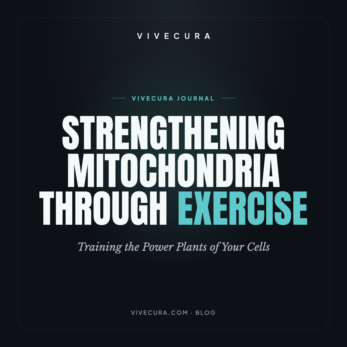 Strengthening Mitochondria Through Exercise: Training the Power Plants of Your Cells