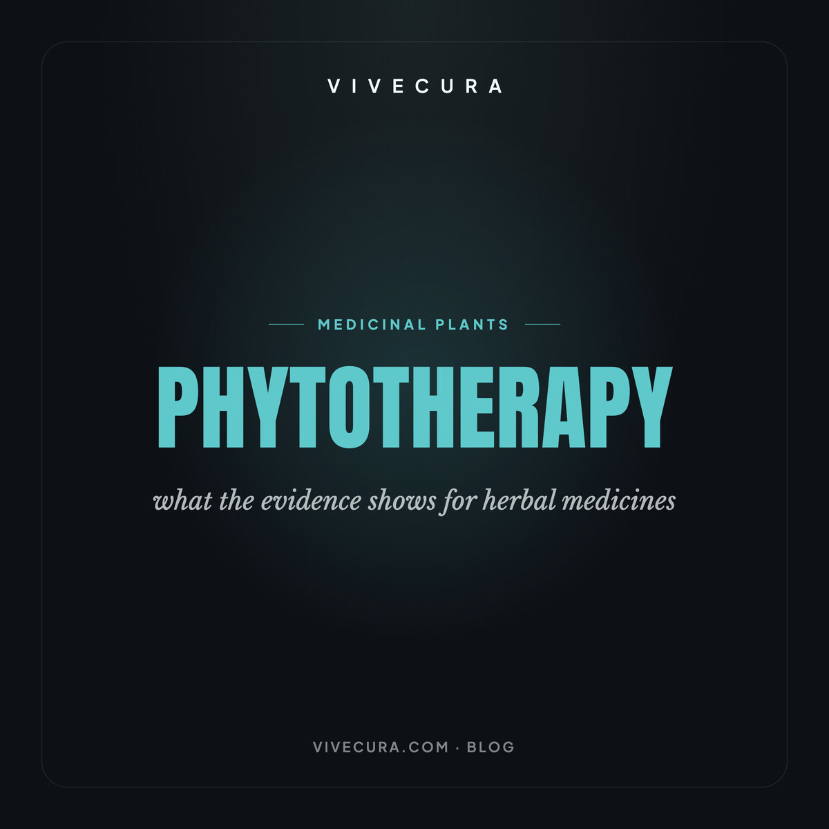 Phytotherapy: what the evidence shows for herbal medicines