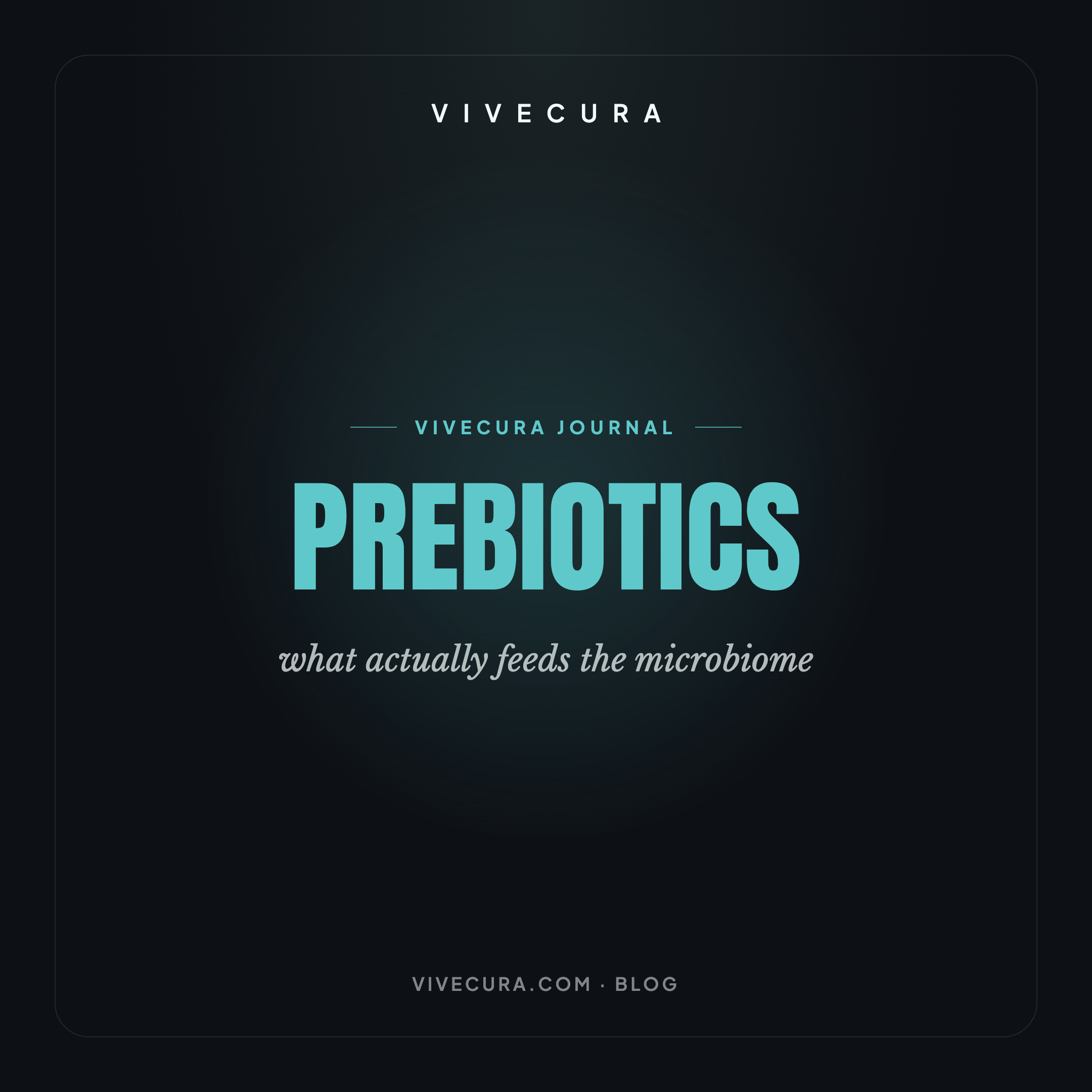 Prebiotics: what actually feeds the microbiome