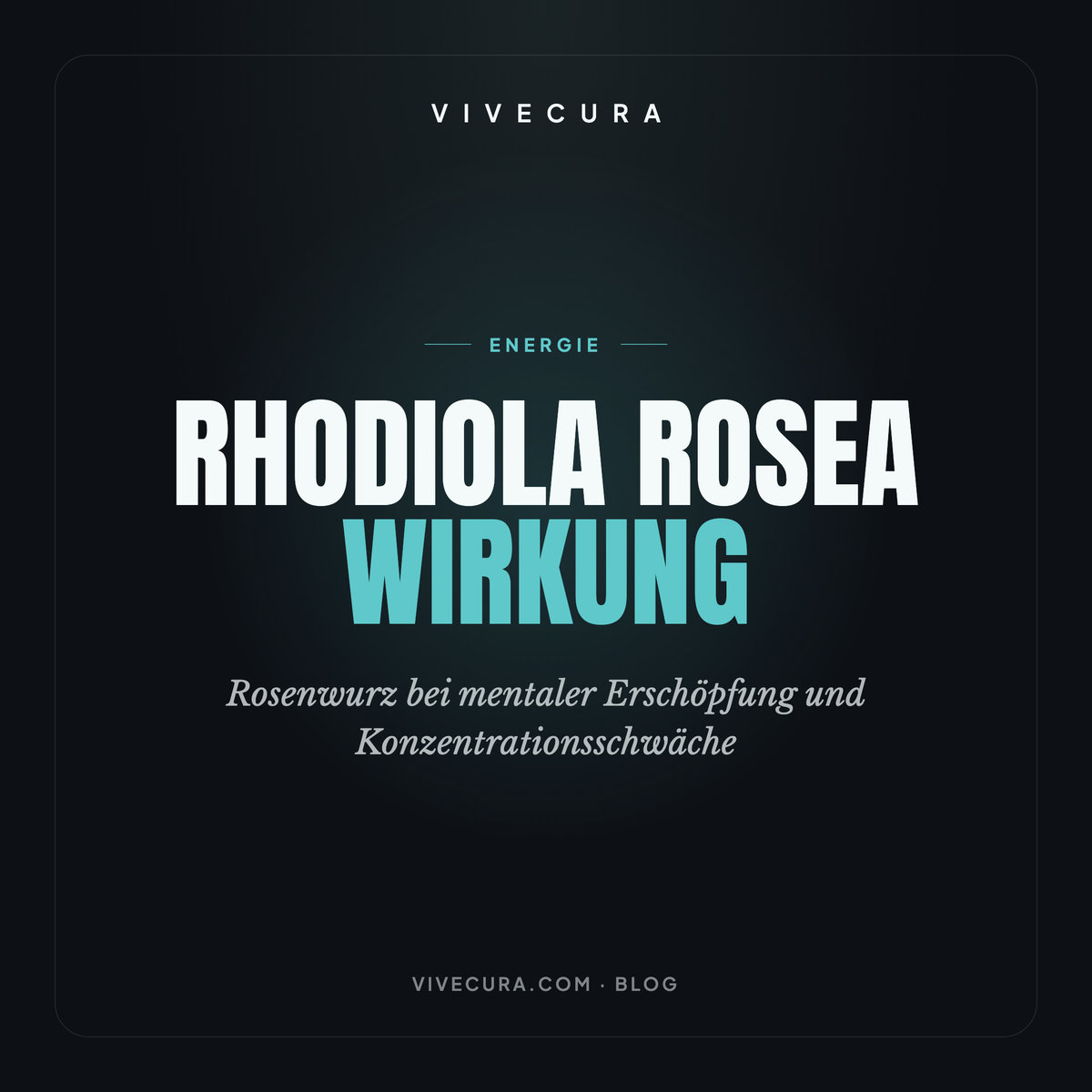 Rhodiola rosea Wirkung: Rosenwurz bei mentaler Erschöpfung und Konzentrationsschwäche