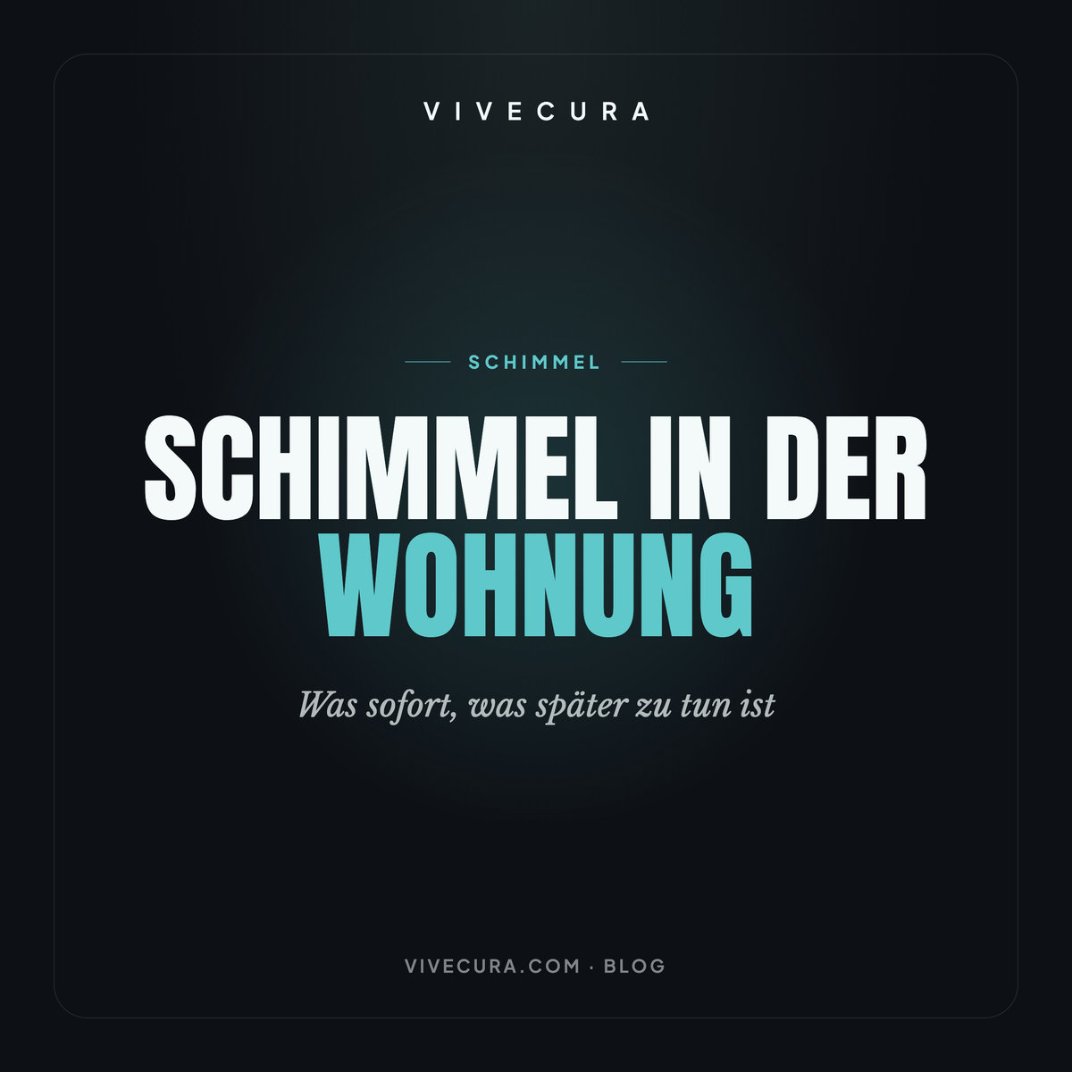 Schimmel in der Wohnung: Was sofort, was später zu tun ist