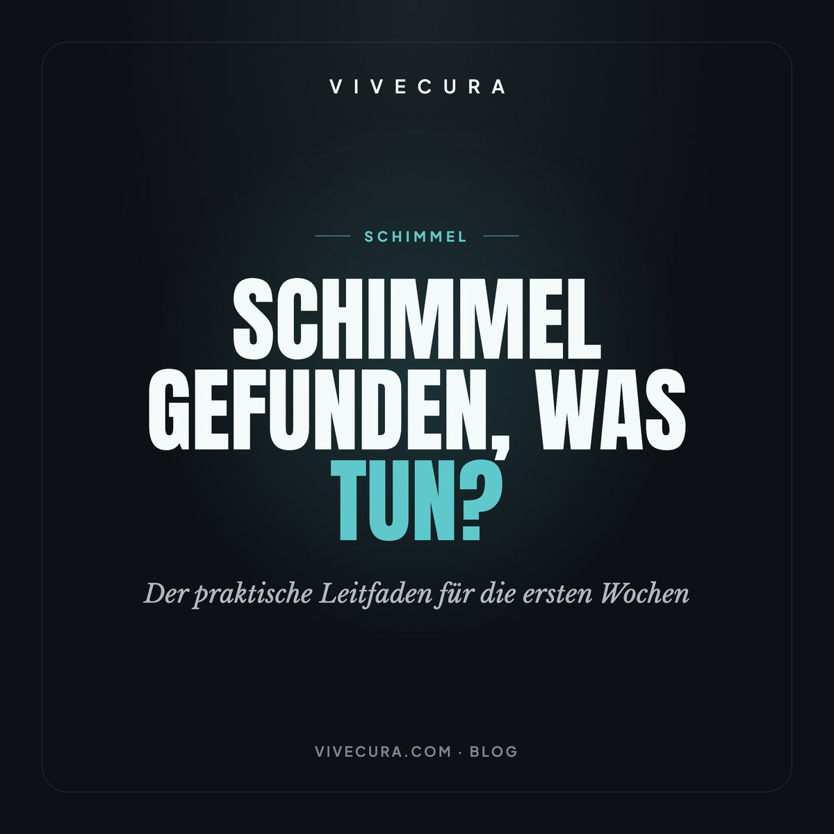 Schimmel gefunden, was tun? Der praktische Leitfaden für die ersten Wochen