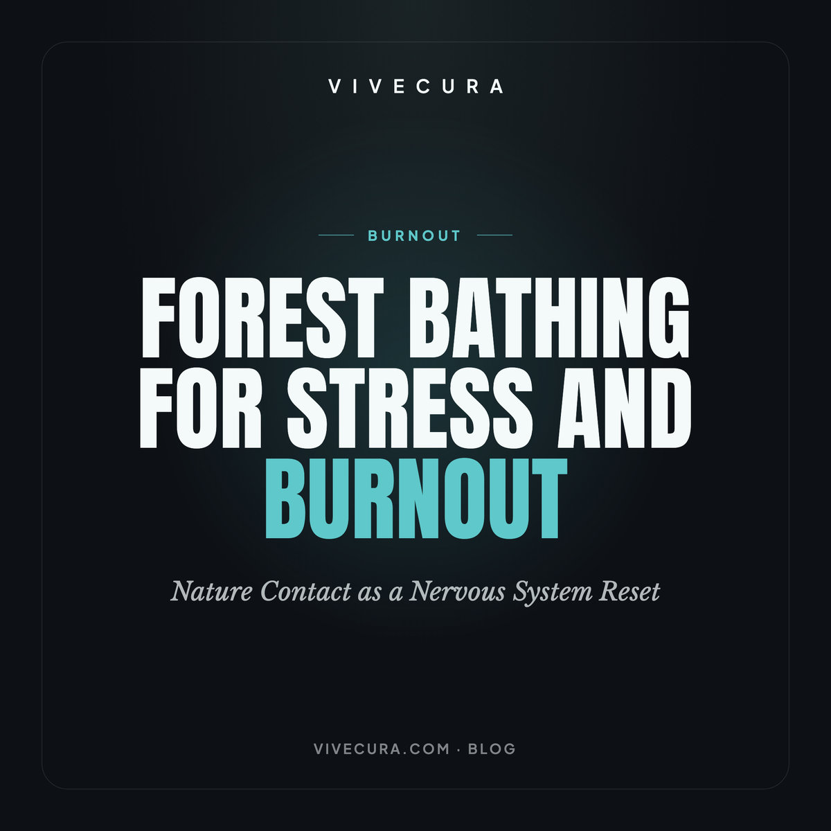 Forest Bathing for Stress and Burnout: Nature Contact as a Nervous System Reset